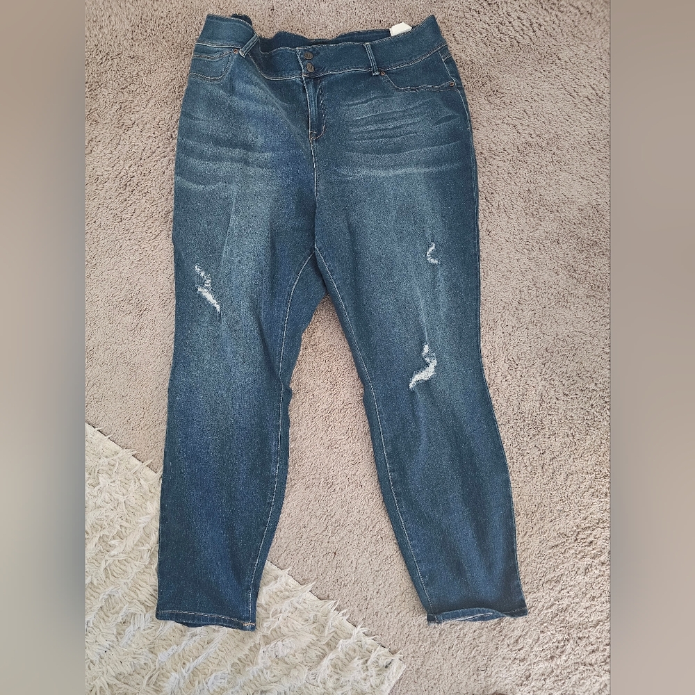 Fashion to Figure size 24 skinny jeans